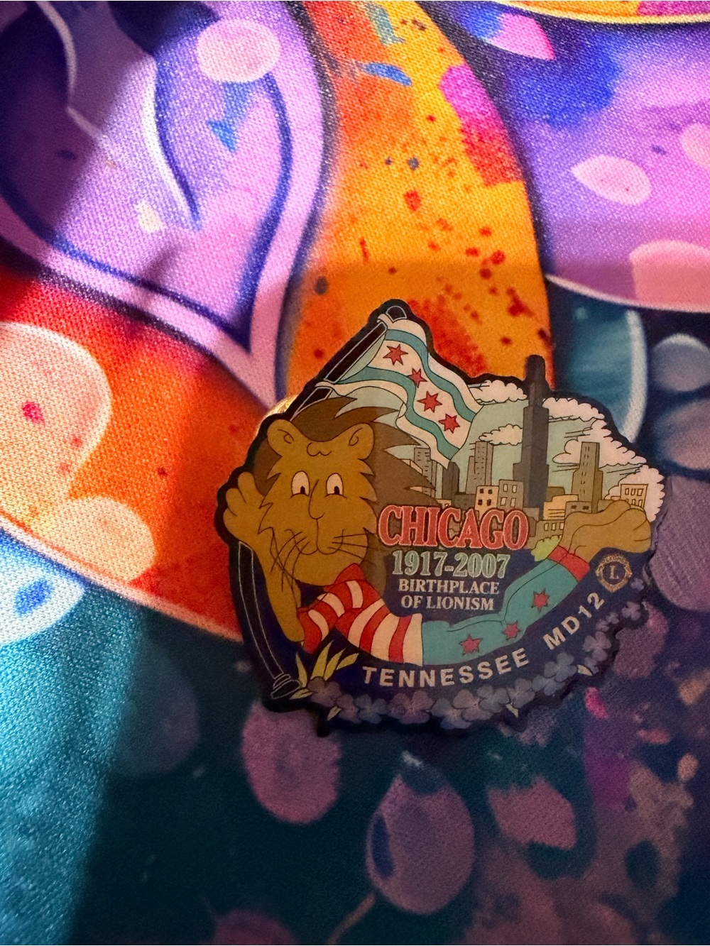 Chicago Lion Pins - Colorful Souvenir Kids Accessory
